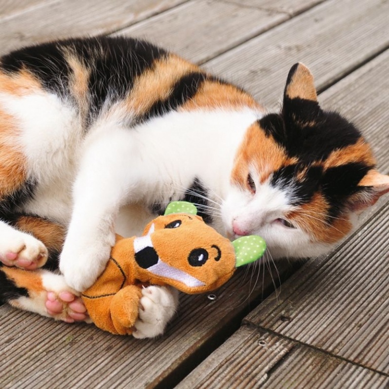 Fox Cat Toy With Silver Vine