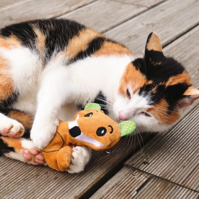 Fox Cat Toy with Silver Vine