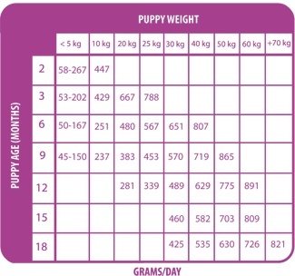 Natural deals greatness puppy